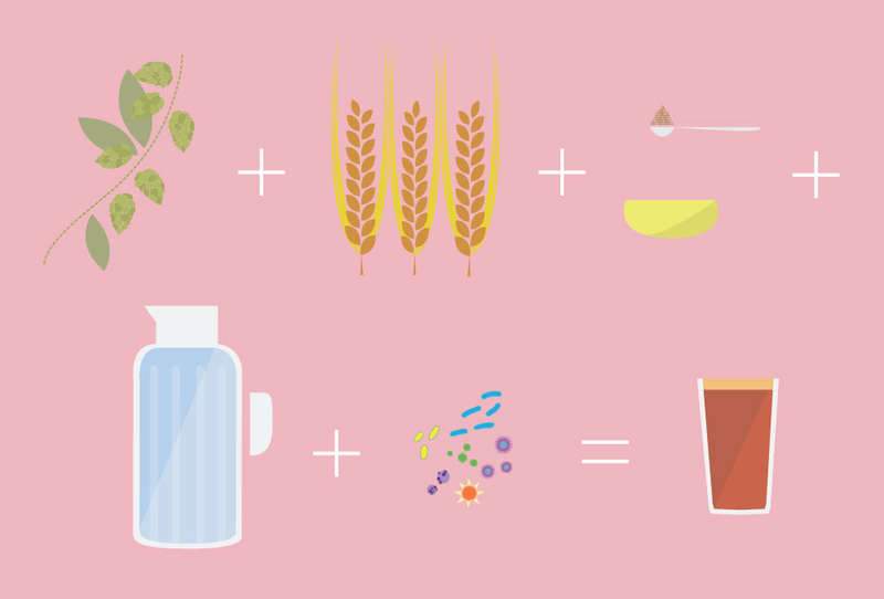 Illustration for article titled How Microbes Make Fermented Food
